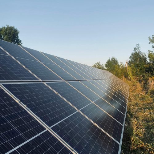A field of solar panels harnessing sunlight for renewable energy.